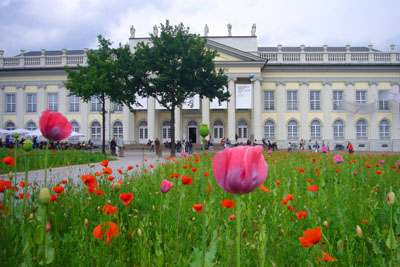 d-12_mohn_120707-047_400dpi.jpg