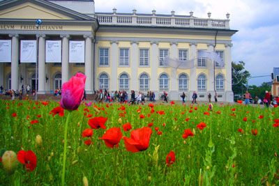 d-12_mohn_120707-082_400dpi.jpg