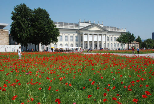 d-12_mohn_150707-035_500dpi.jpg