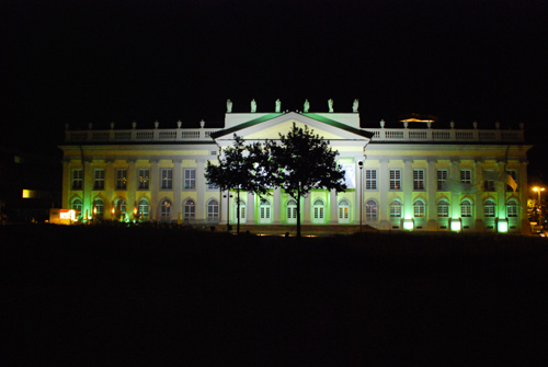 140807_mohnkapseln_gr-kamera_-098_fridericianum.jpg