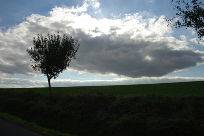 011007_landschaften_kohlkopfe_dorla_wehren_lohne_werkelka-099_bearb_400dpi.jpg