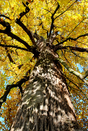 161007_park-wilh-051_300dpi.jpg