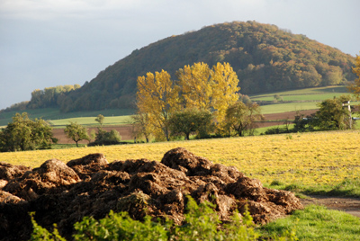 181007_niedenst_kirchberg_besse_metze-099_400dpi.jpg