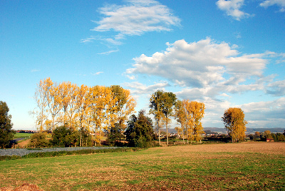 181007_niedenst_kirchberg_besse_metze-109_400dpi.jpg