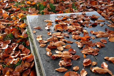 031307_fritzlar_friedhof-006_400dpi.jpg