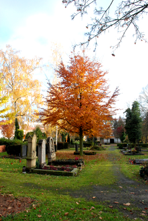 031307_fritzlar_friedhof-010_300dpi.jpg