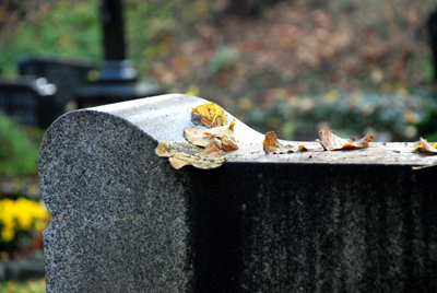 031307_fritzlar_friedhof-027_400dpi.jpg