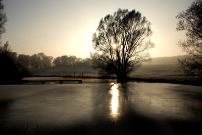 201207_wilhelmstal_feld_teich_rauhreif-132_400pix.jpg