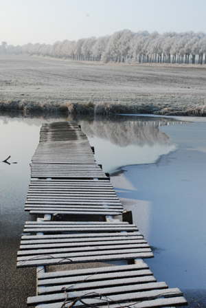 201207_wilhelmstal_feld_teich_rauhreif-155_300pix.jpg