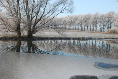 201207_wilhelmstal_feld_teich_rauhreif-167_400pix.jpg