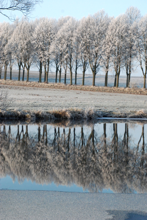 201207_wilhelmstal_feld_teich_rauhreif-169_300pix.jpg