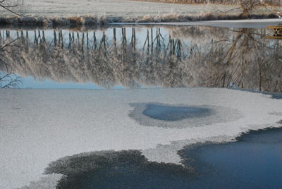 201207_wilhelmstal_feld_teich_rauhreif-170_400pix.jpg