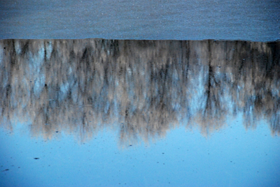 201207_wilhelmstal_feld_teich_rauhreif-177_400pix.jpg