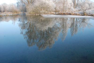 201207_wilhelmstal_feld_teich_rauhreif-181_400pix.jpg