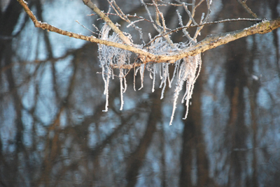 201207_wilhelmstal_feld_teich_rauhreif-193-400pix.jpg