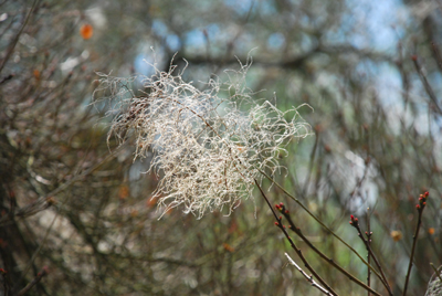 160408_insel-siebenberge-057_400pix.jpg