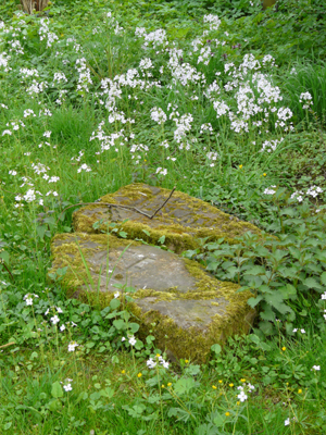 240408_fritzlar_jud-friedhof_fz18-065_300pix.jpg