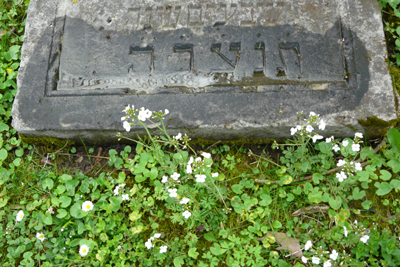 240408_fritzlar_jud-friedhof_fz18-152_400pix.jpg