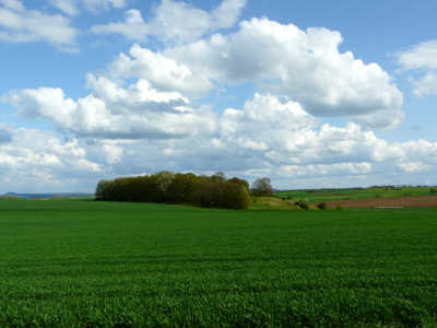 010508_landschaften_fz18-030_400pix.jpg