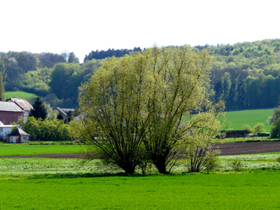 010508_landschaften_fz18-035_400pix.jpg