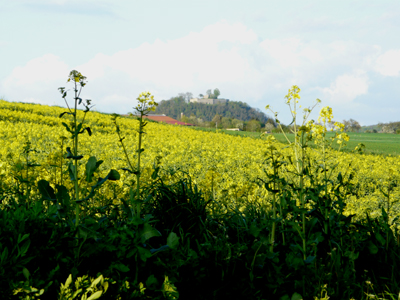 010508_landschaften_fz18-162_400pix.jpg