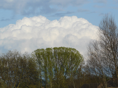 010508_landschaften_fz18-188_400pix.jpg