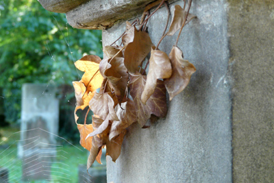 jud-friedhof_gottingen_120908-033_400pix.jpg