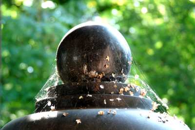 jud-friedhof_gottingen_120908-095_400pix.jpg