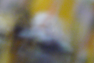 nichtbilder_281108_lx3-207_400.jpg