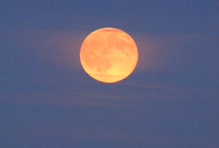 DSC_0004_MOND