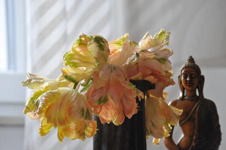 DSC_1080_TULPENBUDDHA_