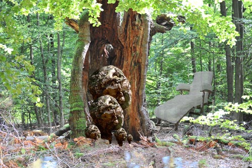 KÖPFE IM WALD_FERTIG_1816