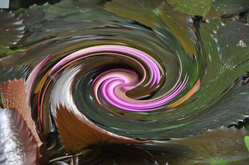 SPIRALE_DSC_0158_2