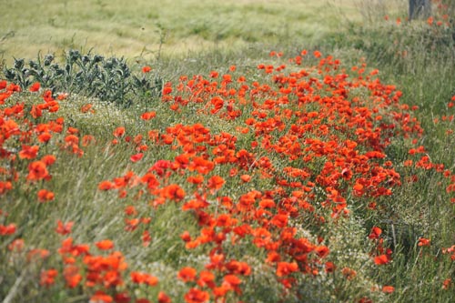 MOHN_III_DSC_0755_2