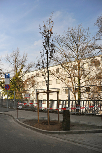DSC_8643_350