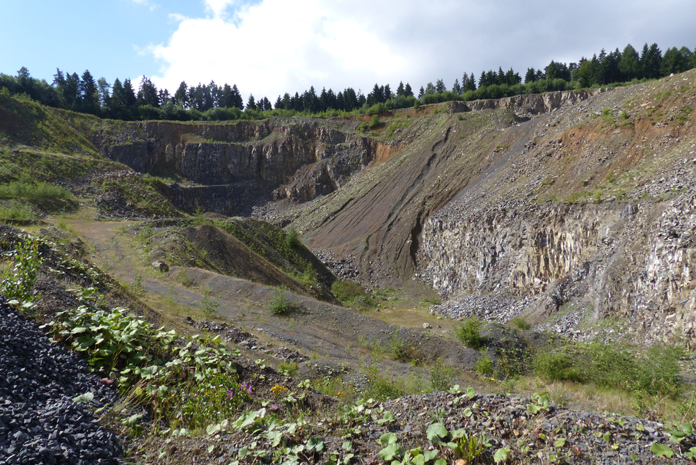 STEINBRUCH_BASALTWAND_1. ETAGE_P1330794