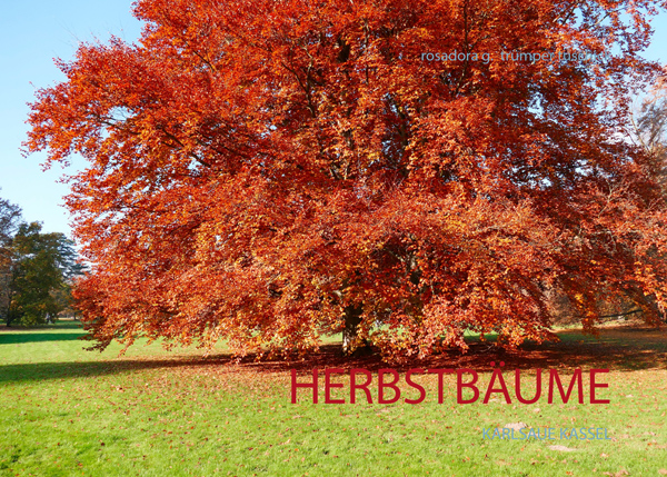 COVER HERBSTBÄUME_600__0011846593_Cover_U1_bearbeitet-1