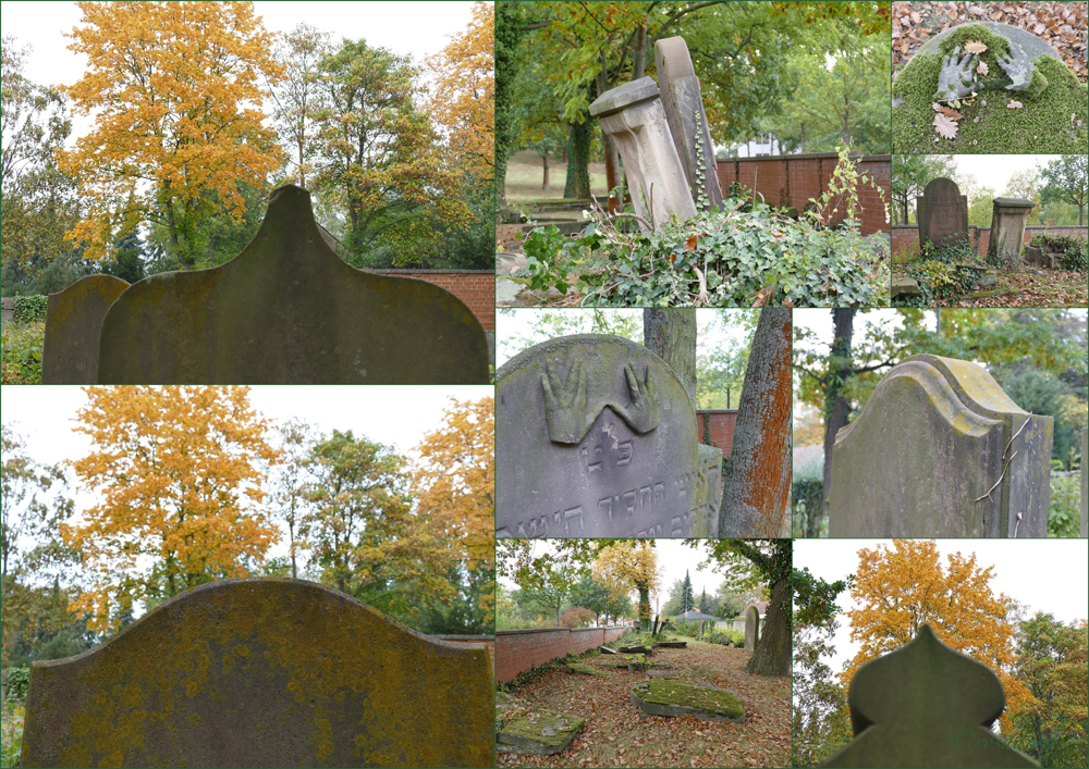 JÜD, FRIEDHOF KASSEL_2_V_14.103