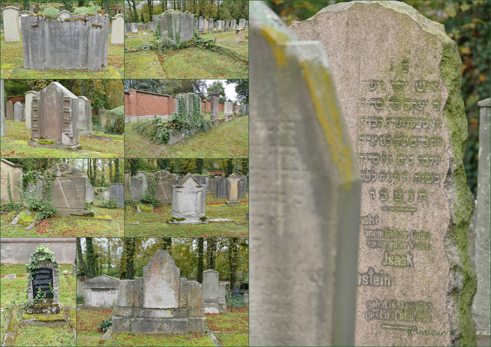 JÜDISCHER FRIEDHOF KASSEL_IX_12.107