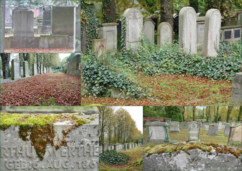 JÜDISCHER FRIEDHOF KASSEL_VIII_12.106