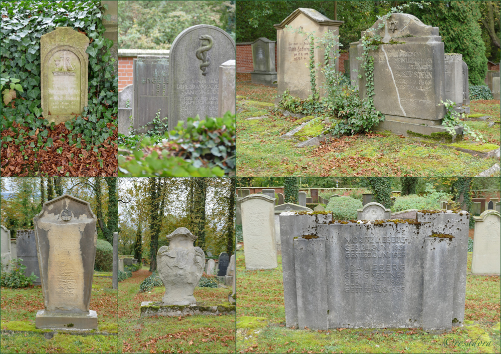 JÜDISCHER FRIEDHOF KASSEL_VII_12.105