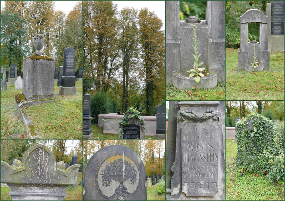 JÜDISCHER FRIEDHOF KASSEL_X_12.108