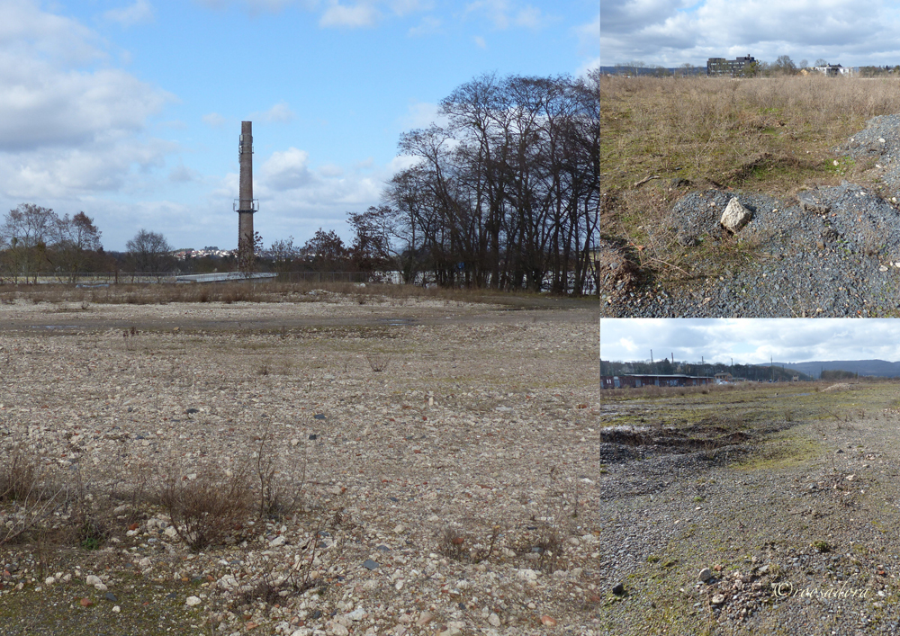 ZOLLBAHNHOF OHNE_LEERES FELD_10.03