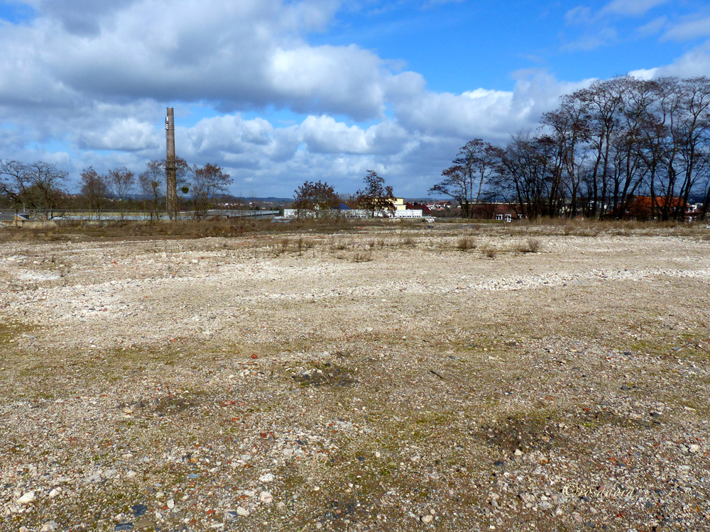 ZOLLBAHNHOF_LEERES GELÄNDE_MÄRZ 2017_P1610718