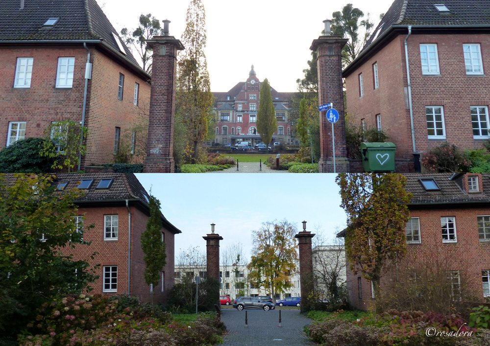 ROTE KREUZ_PARK VORWÄRTS UND RÜCKWÄRTS__01.111